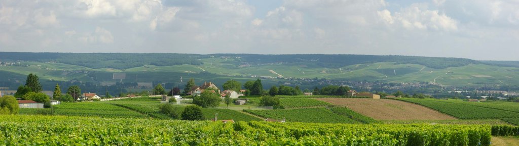 Coteaux historiques Hautvillers (Champagne)