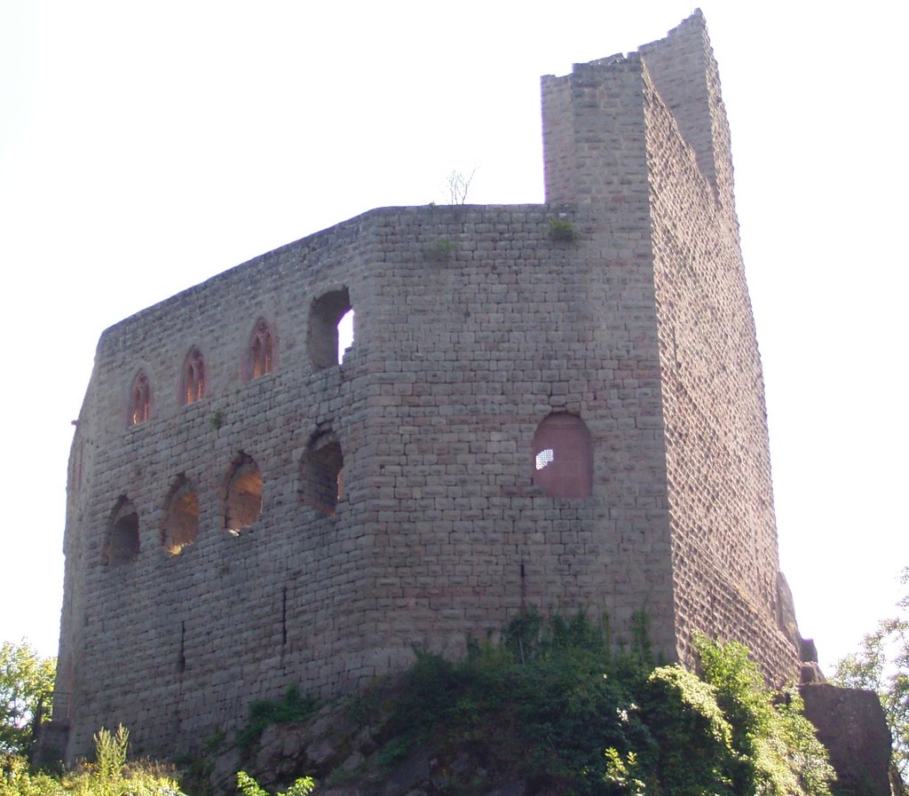 Château de Spesbourg