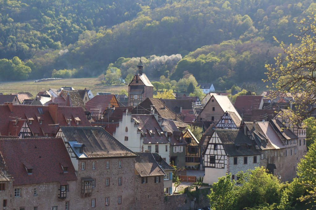 Riquewihr
