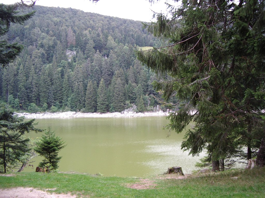 Le lac Vert a Soultzeren