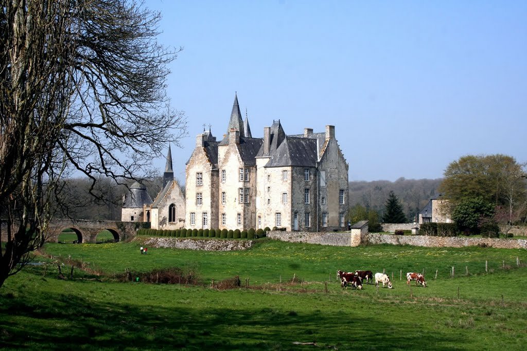 Château de Bourgon à Montourtier