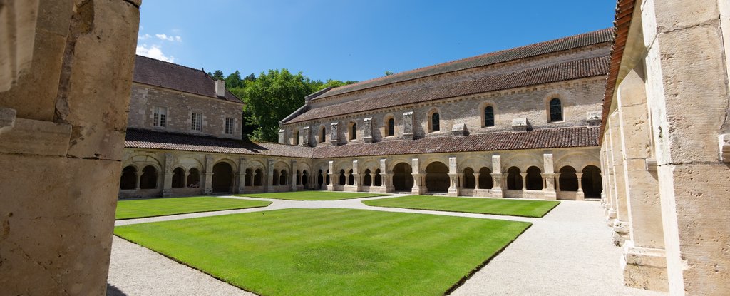 L'Abbaye cistercienne de Fontenay