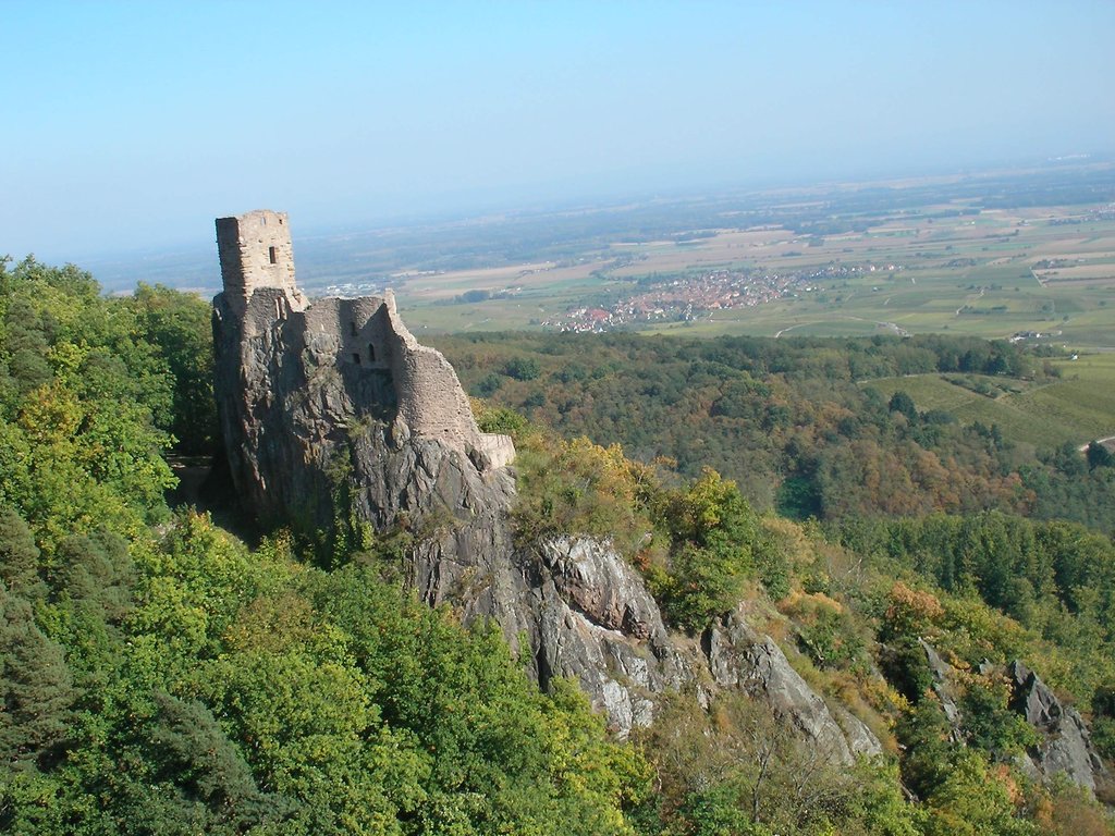 Vue depuis le château du Saint Ulrich - Château du Girsberg (528 m) (Ribeauvillé) (2)