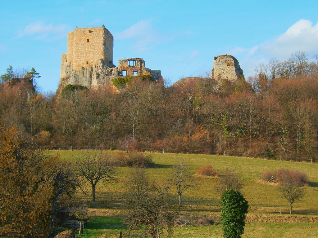 Château du Landskron [Leymen]