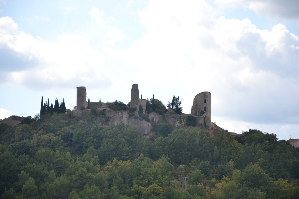 Ruine du château de Pontevès