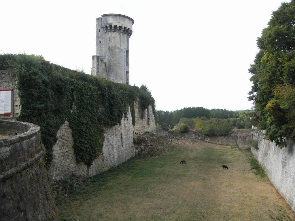 Château de Taillebourg