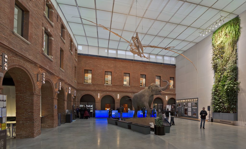 Museum d'Histoire Naturelle de Toulouse