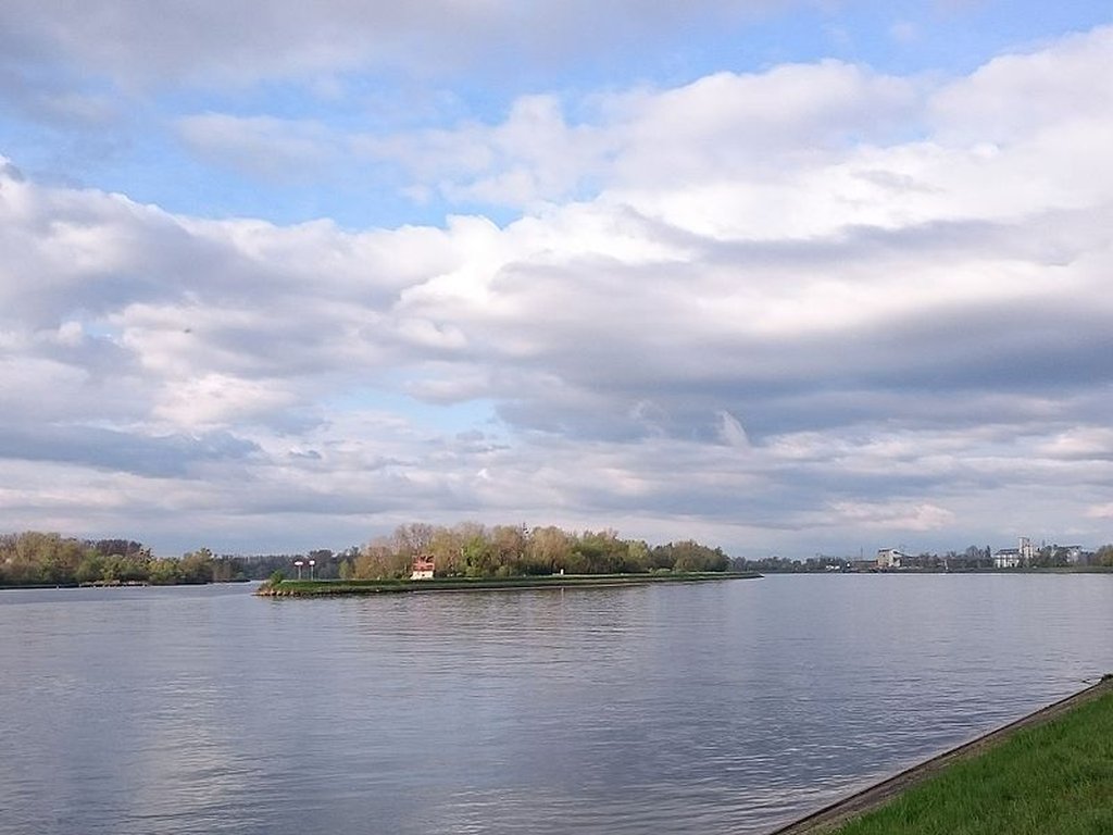 Promenades en barque à fond plat sur l'ile de Rhinau