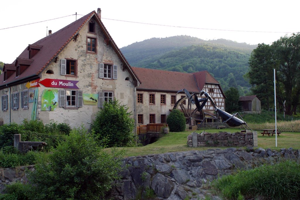 Vivarium du Moulin de Lautenbachzell