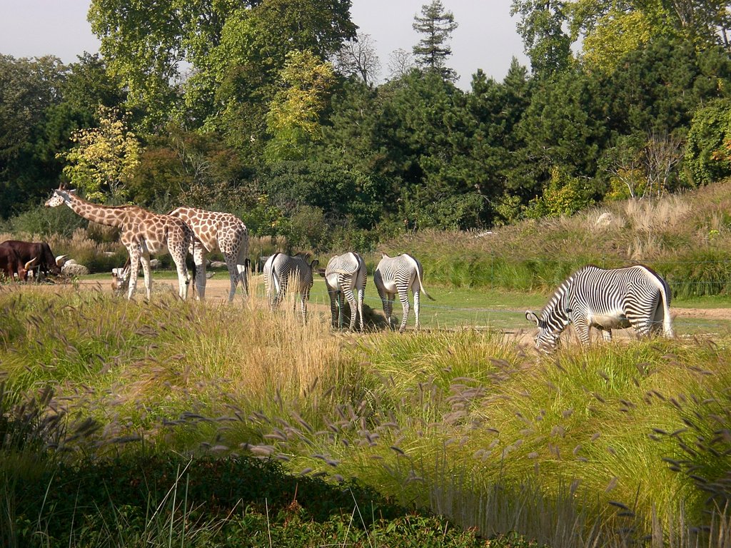 Jardin zoologique de la ville de Lyon - Parc de la Tête d'Or
