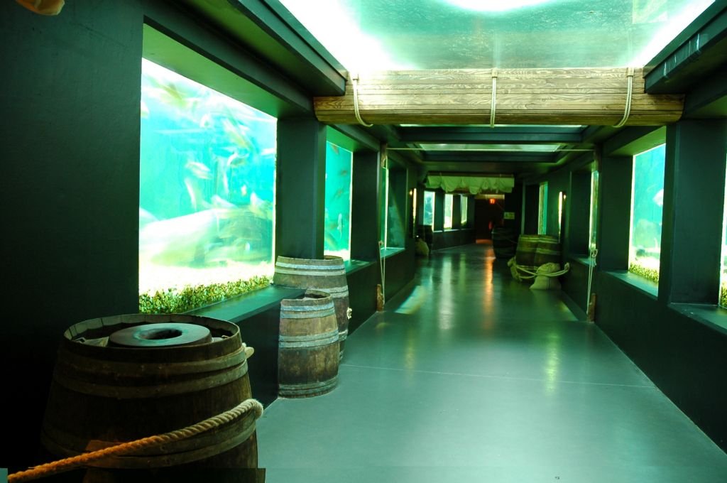 Aquarium Val de Loire-Touraine