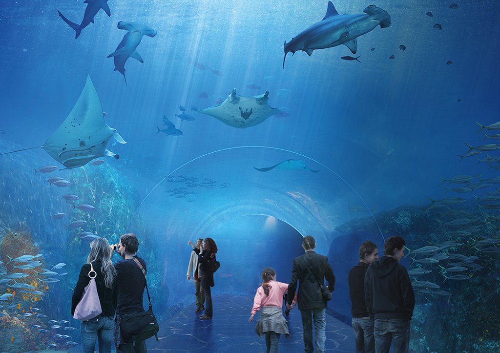 Aquarium - Nausicaá - Centre national de la mer