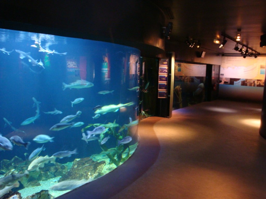 Aquarium Maréis, Centre de découverte de la pêche en Mer
