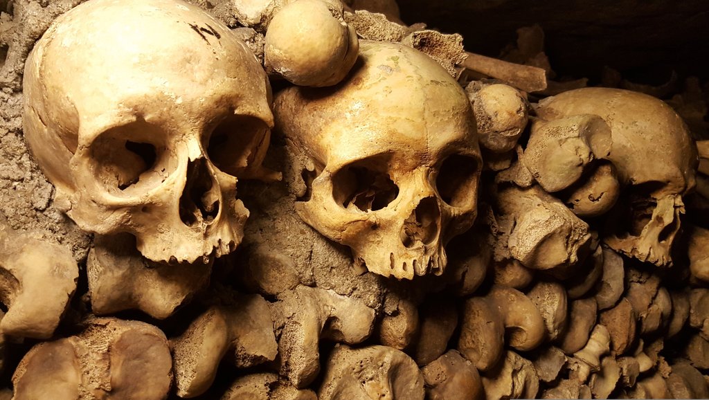 Découvrir les Mystères des Catacombes de Paris