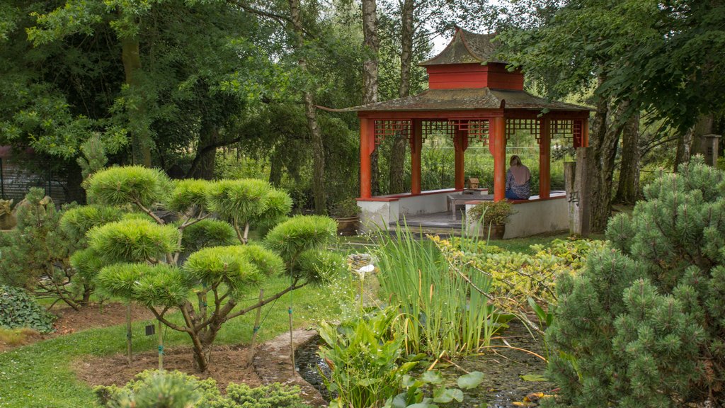 Le jardin de la méditation à Saint Venant