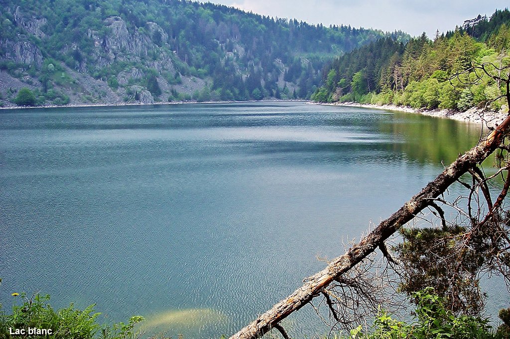 Le lac Blanc, vu de sa digue
