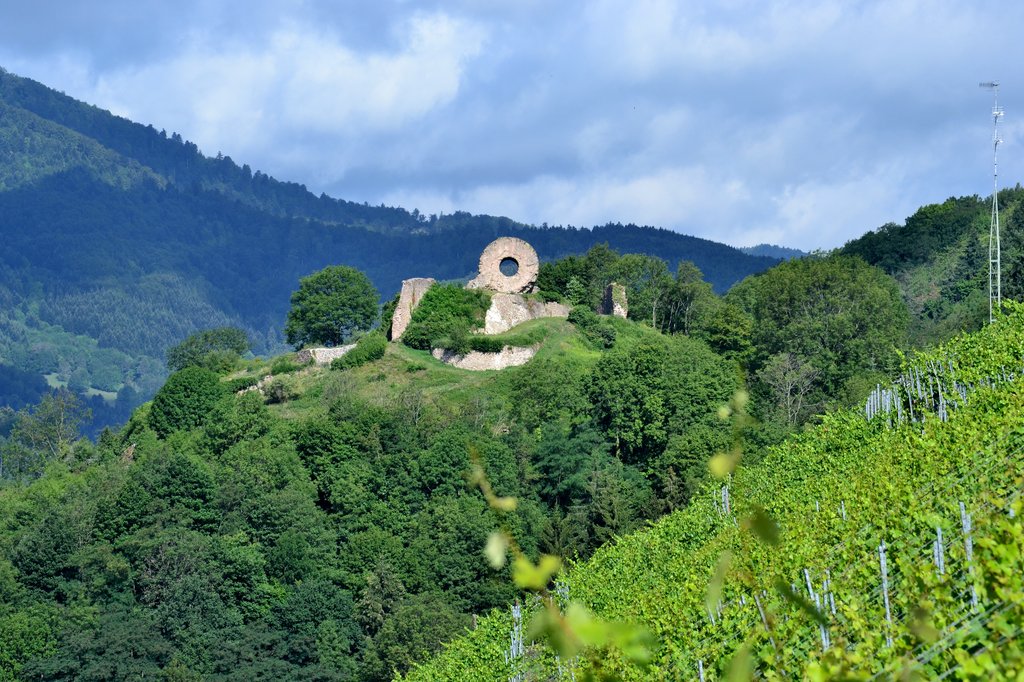 ruine du chateau de l'Engelbourg