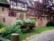 Riquewihr