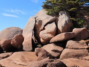Chaos de rochers de la presqu'île Renote à Trégastel