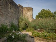 Le jardin médiéval