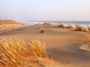 Les Dunes de l'Ile d'Oléron