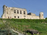 Bouteville castle1