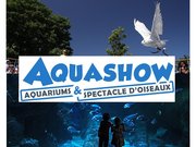 Aquashow - Aquariums et spectacle d'oiseaux