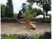 Parc Zoologique de Maubeuge