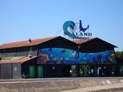 Sealand, l'Aquarium de Noirmoutier