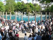 Panorama bassin des ours polaires