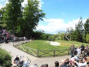 Panorama volière