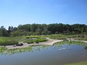 Pond in the Parc Floral de Paris