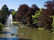 Parc de l'Orangerie