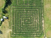 Vue sur l'une des parcelles du labyrinthe 