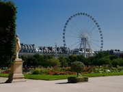 Jardin des Tuileries