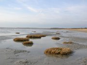 Bord de mer, près du marais du Crotoy