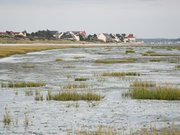 Réserve naturelle nationale de la baie de Somme - Le Crotoy