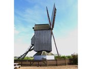 Moulin Noordmeulen ou moulin du nord à Steenvoorde