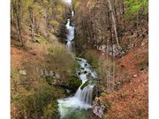 Foncine-le-Bas, cascade du Bief de la Ruine