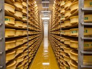La cave d'affinage 