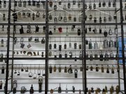 La plus importante collection de lampes de mineurs en France.