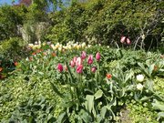 La Mulatière - Jardin de La Bonne Maison