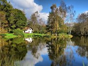 Plateau des Mille Etangs, étang avec île