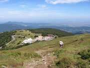 Vue plongeante sur le col du Grand Ballon 