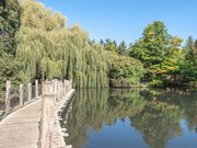 Passerelle sur l'étang du Parc zoologique et botanique de Mulhouse