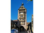 Musée du Dolder
