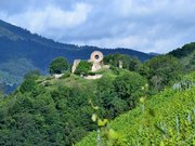  ruine du chateau de l'Engelbourg
