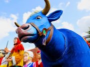 Bugnus en hommage à la race Bleue du Nord